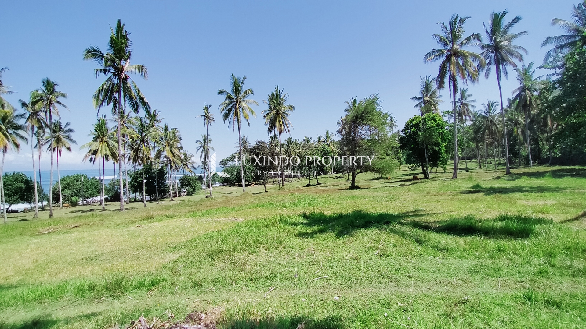 MEDEWI – A STUNNING BEACH FRONT LAND FOR INVESTMENT PROJECT (FHL215)
